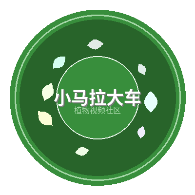 小马拉大车